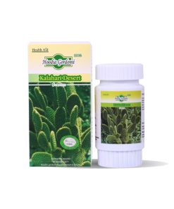 Hoodia Gordonii Capsules